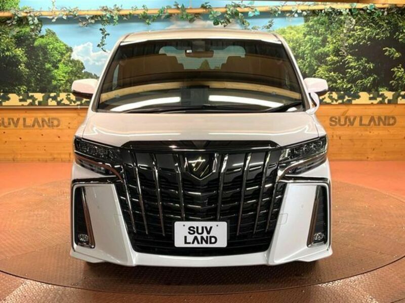 ALPHARD-16