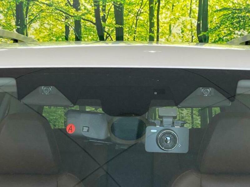 FORESTER-4