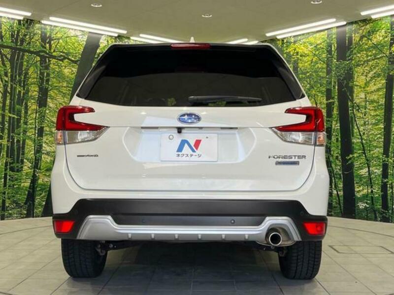 FORESTER-15