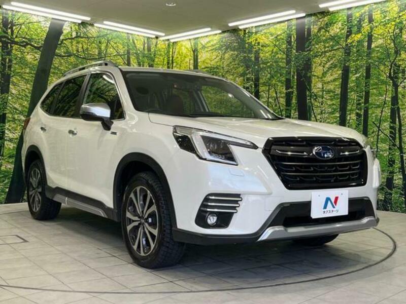 FORESTER-16