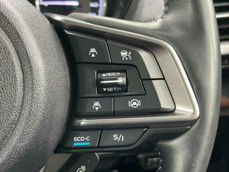 FORESTER-5