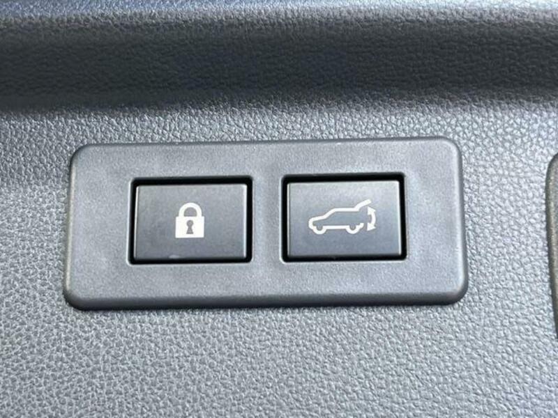 FORESTER-6