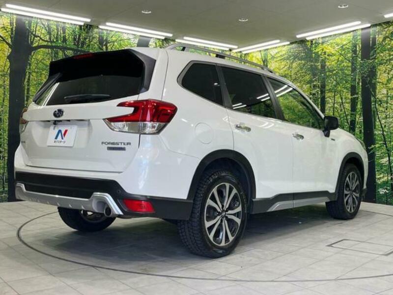 FORESTER-17