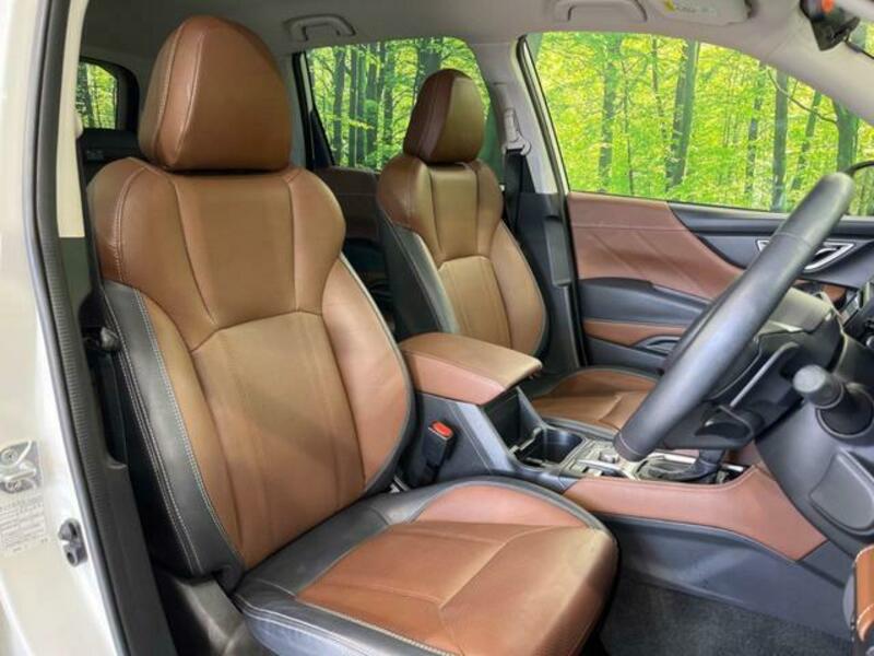 FORESTER-8