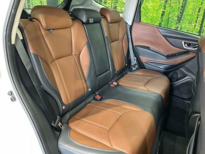 FORESTER-9