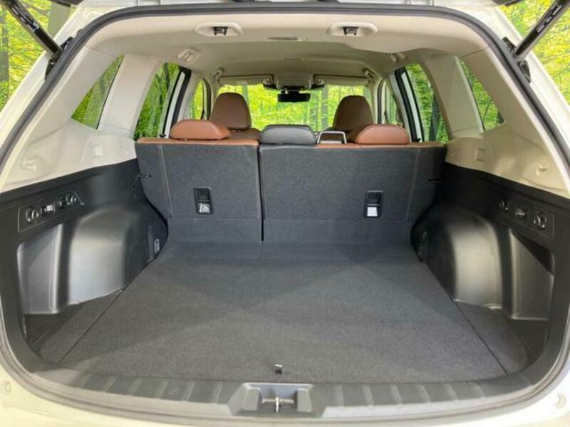 FORESTER-10