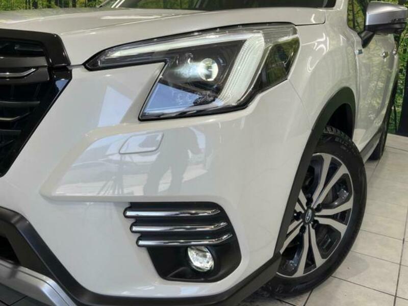 FORESTER-12