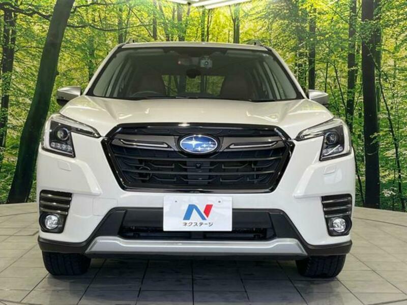 FORESTER-14