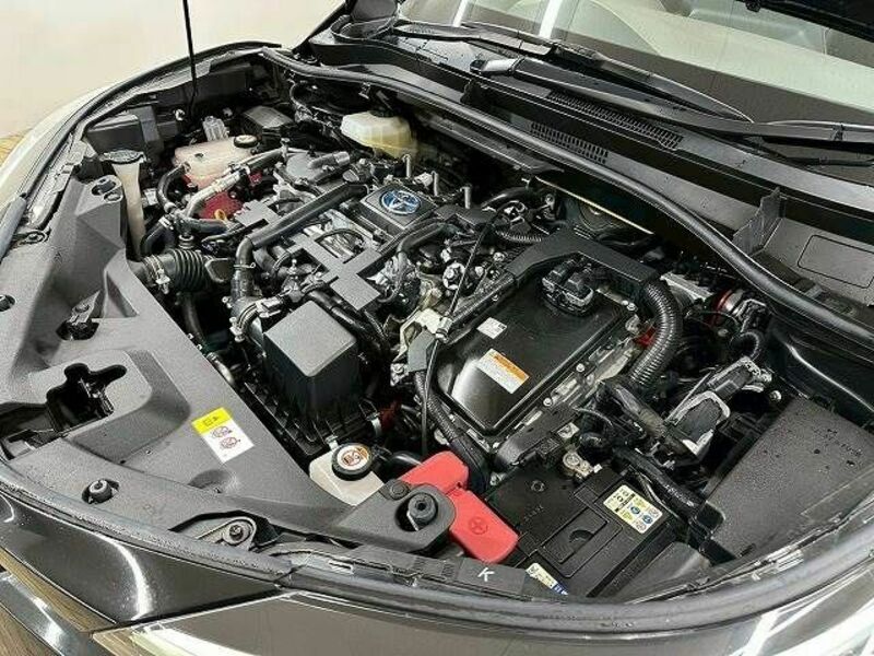C-HR-17