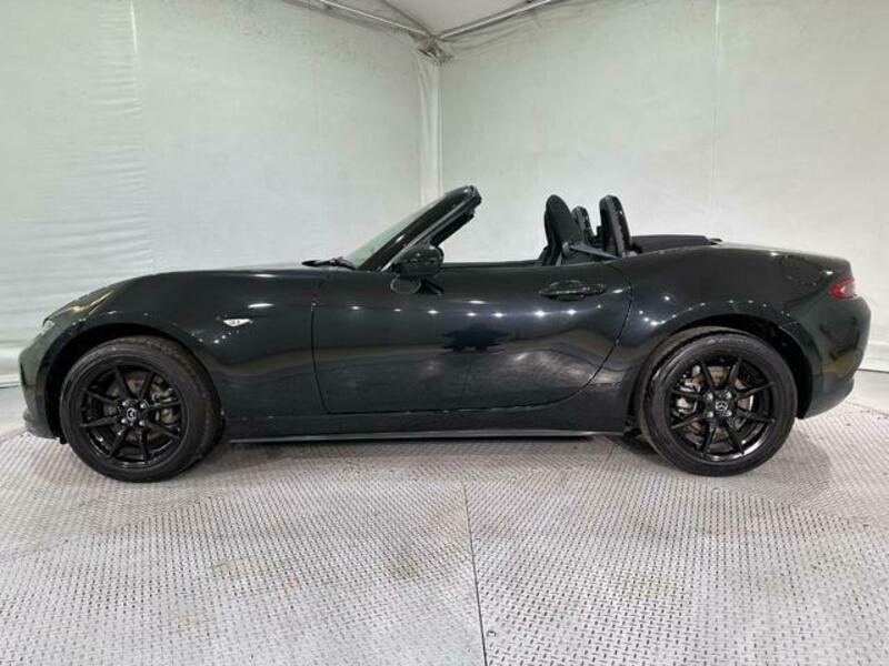 ROADSTER