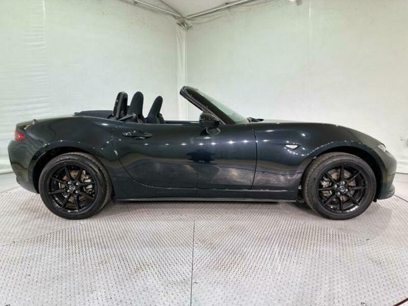 ROADSTER