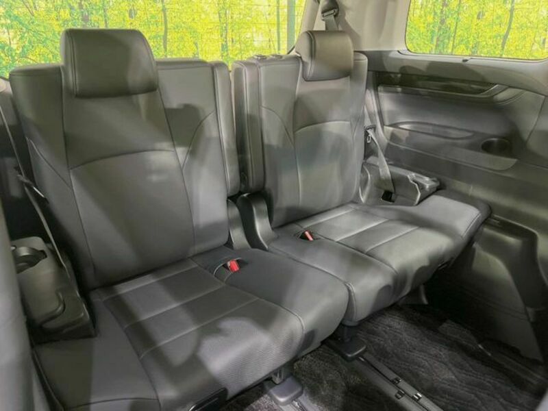 ALPHARD-8