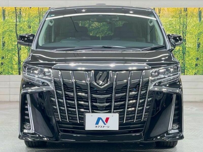 ALPHARD-12