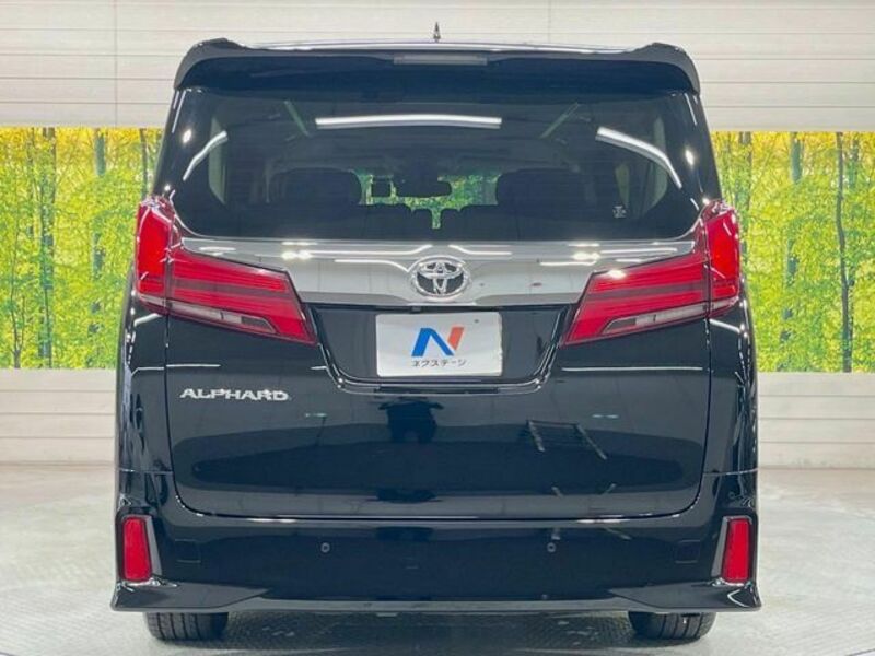 ALPHARD-13