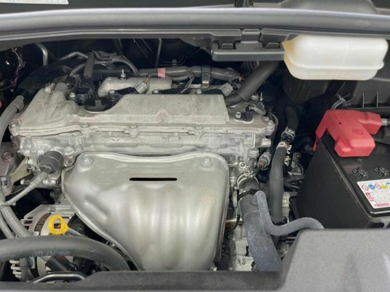 ALPHARD-15