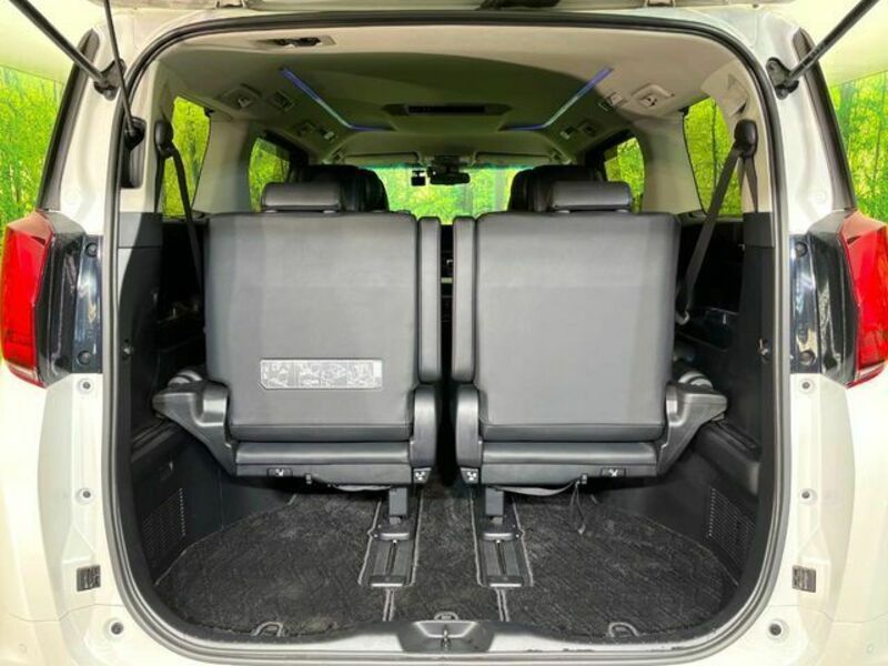 ALPHARD-10
