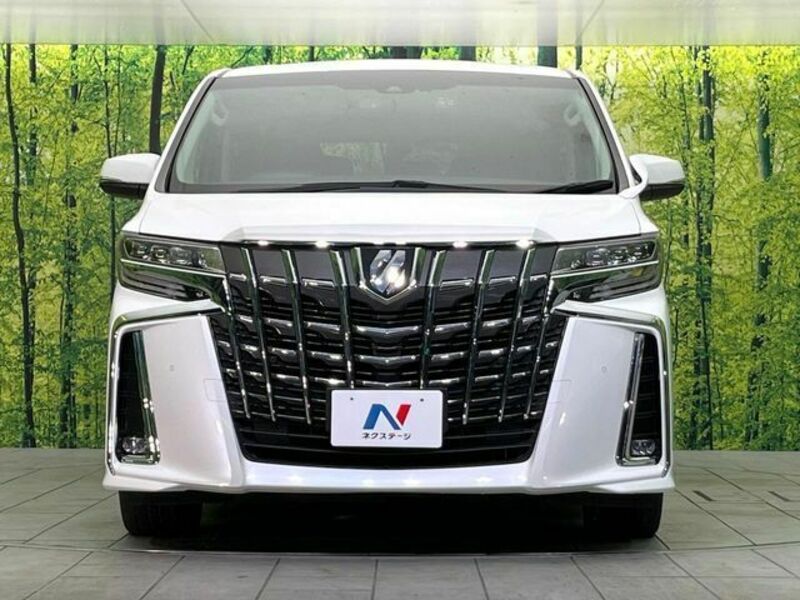 ALPHARD-14