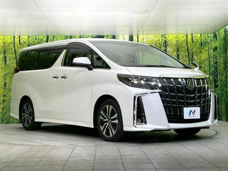 ALPHARD-16