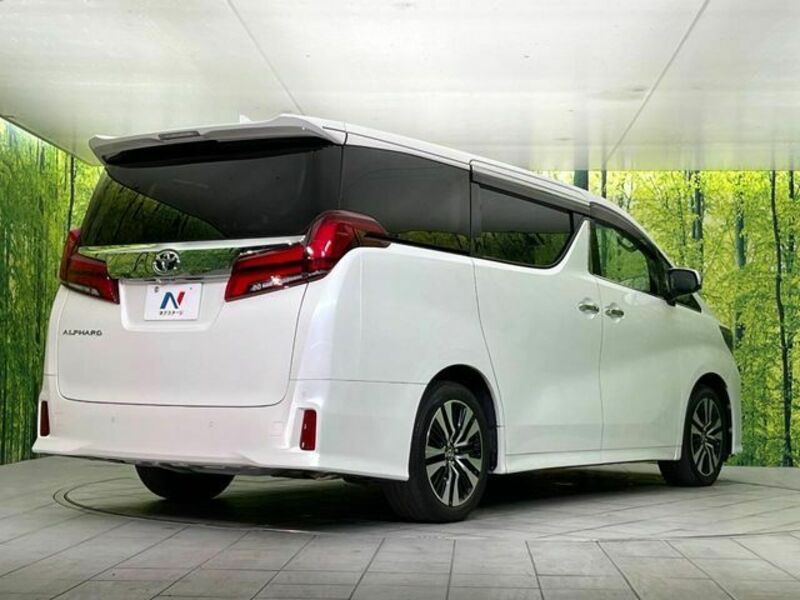 ALPHARD-17