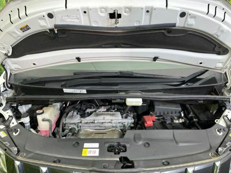 ALPHARD-18
