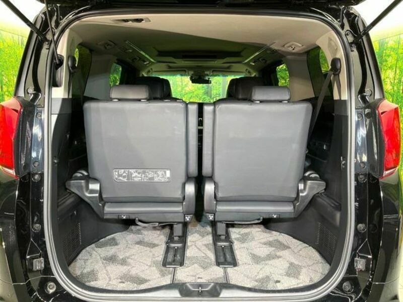 ALPHARD-10