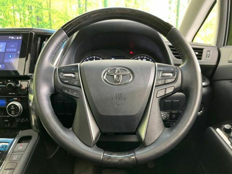 ALPHARD-11