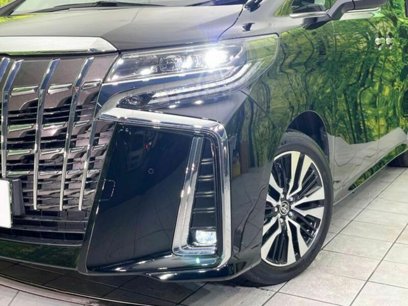 ALPHARD-12