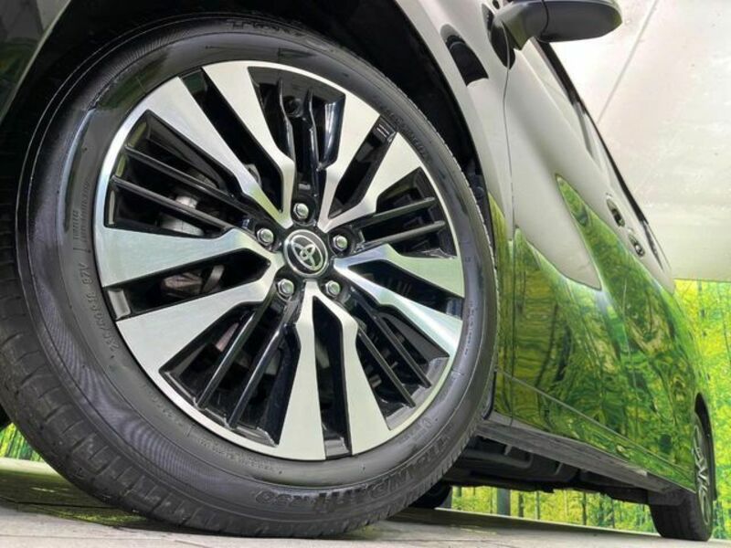 ALPHARD-13
