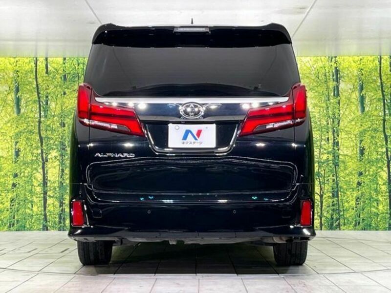 ALPHARD-15