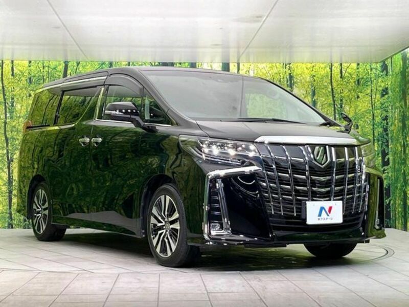 ALPHARD-16