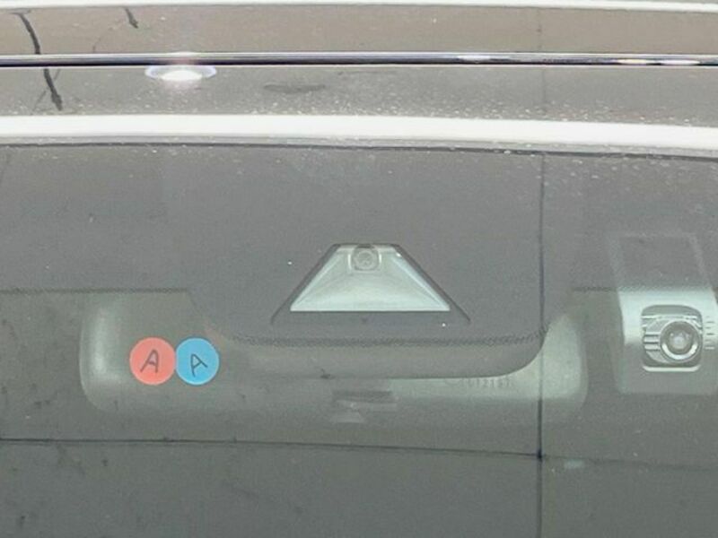 ALPHARD-6