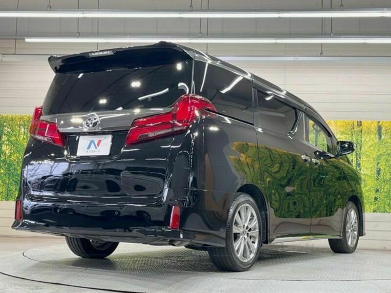 ALPHARD-16