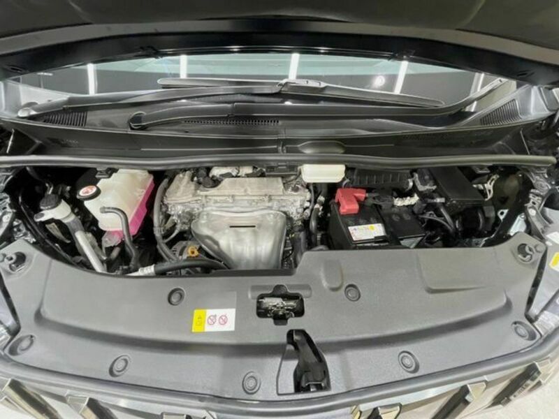 ALPHARD-17