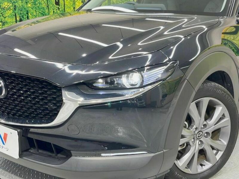 CX-30