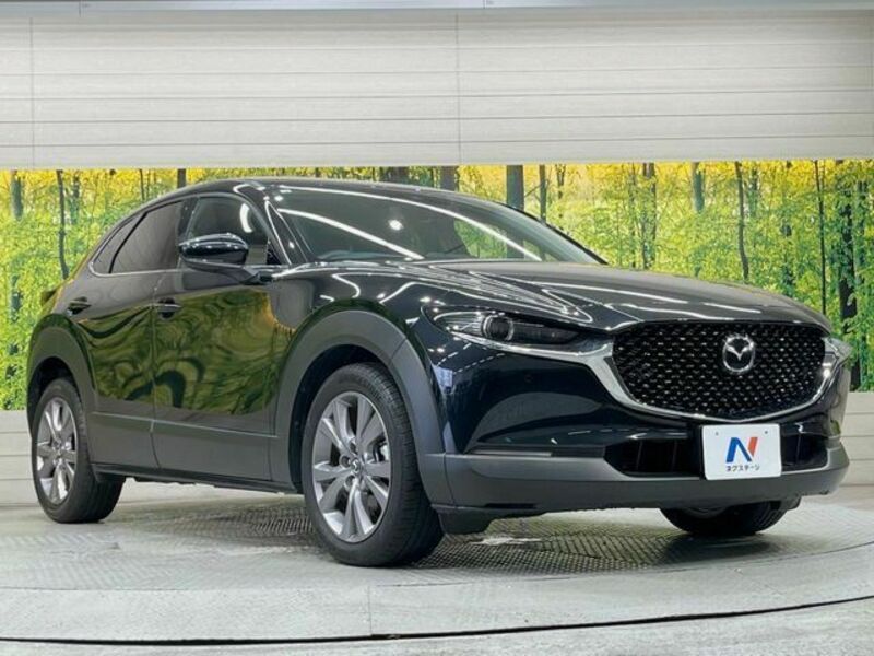 CX-30
