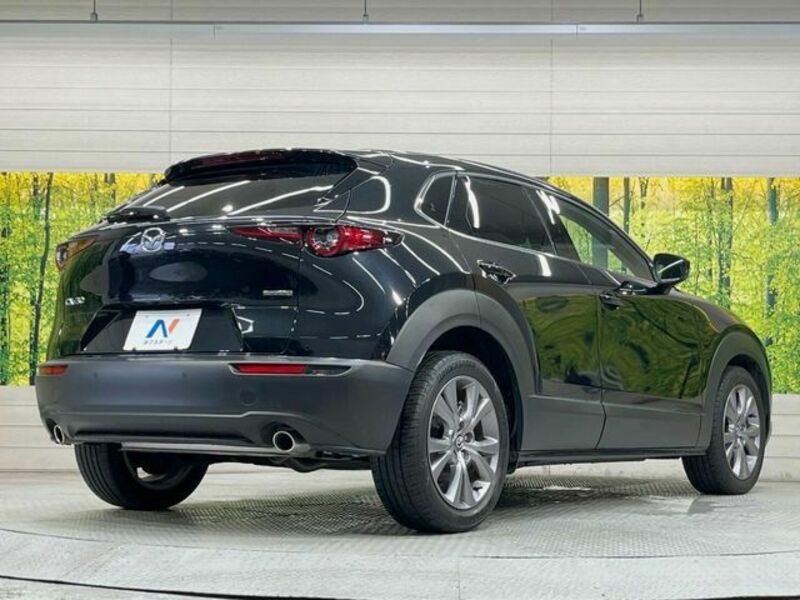 CX-30