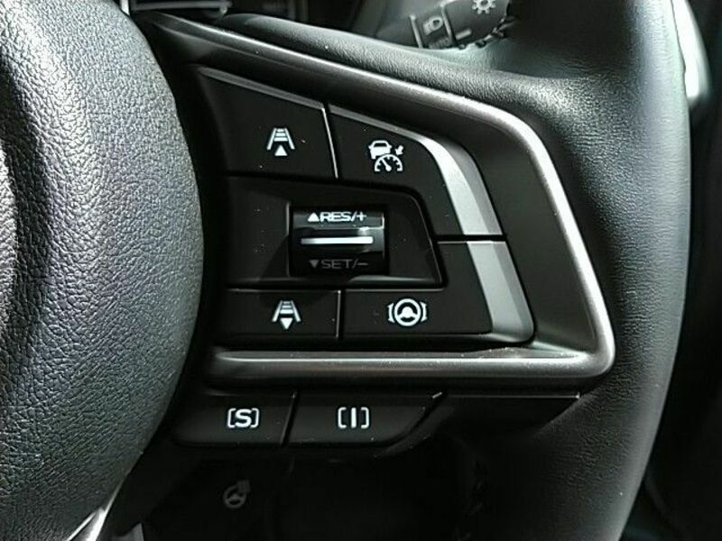 FORESTER-9
