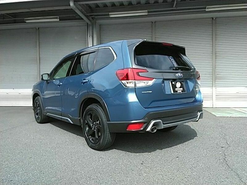 FORESTER-17