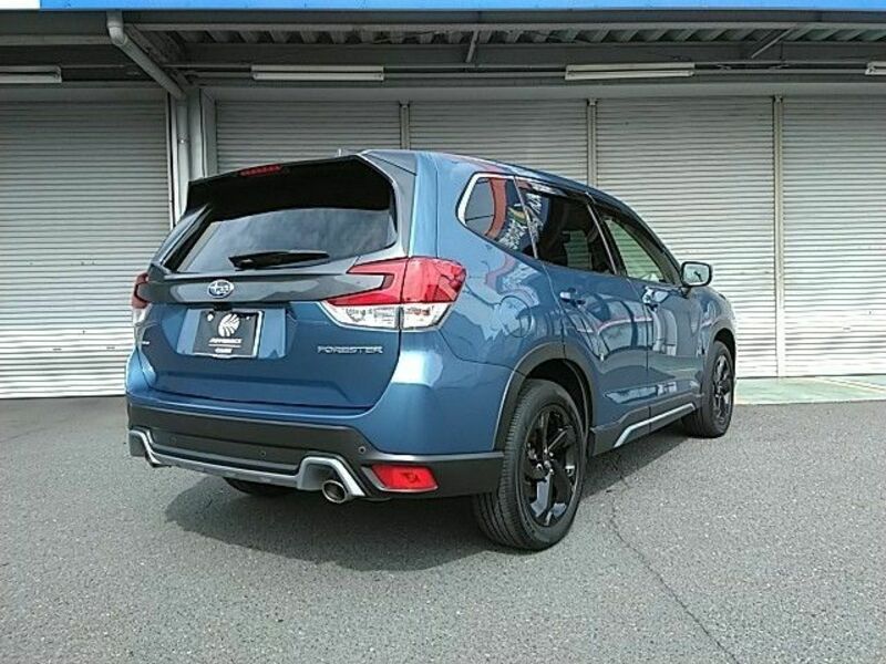 FORESTER-19