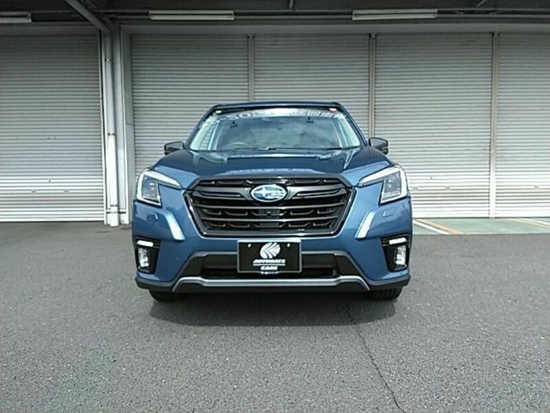 FORESTER-20