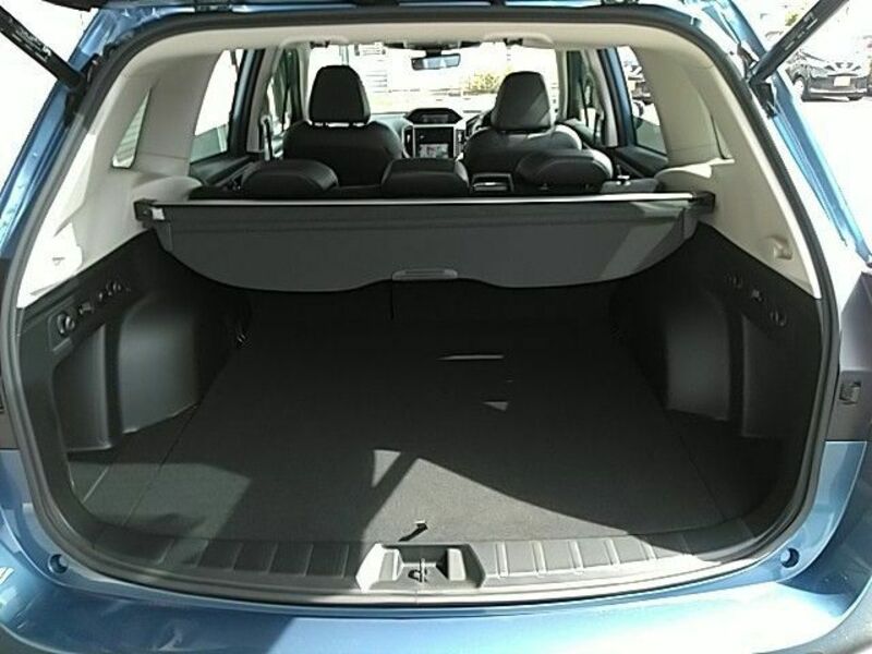 FORESTER-24