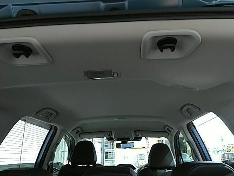 FORESTER-25