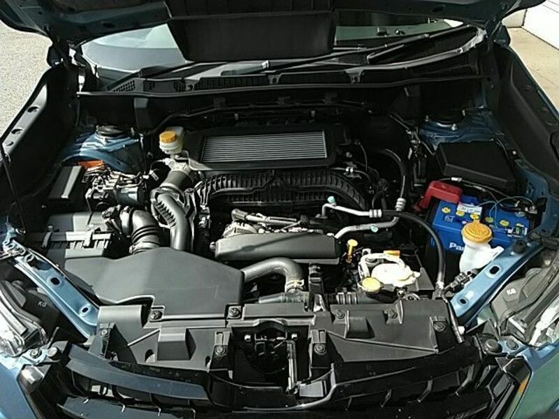 FORESTER-28