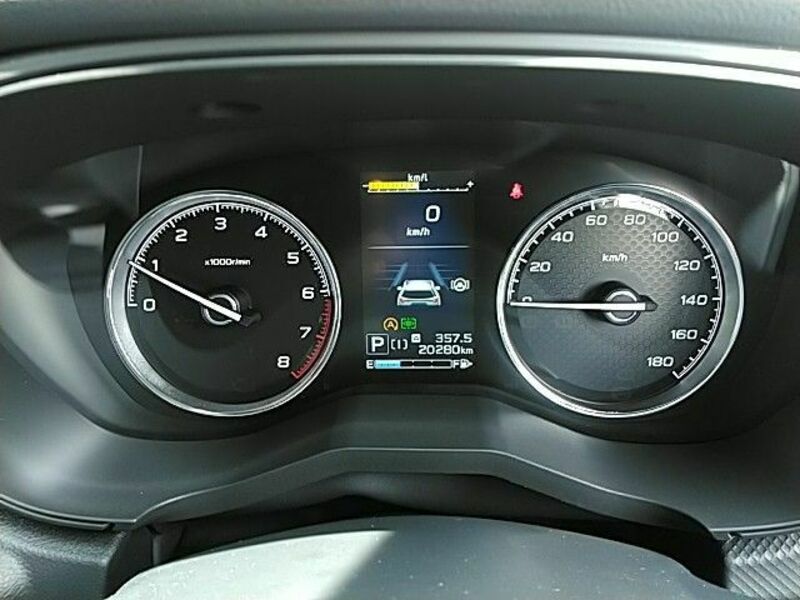FORESTER-29