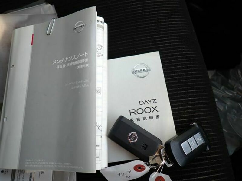 DAYZ ROOX