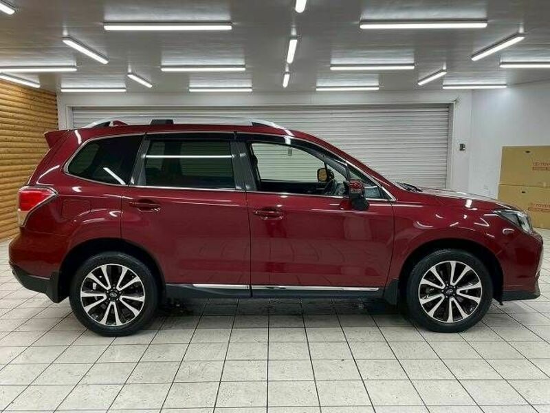 FORESTER