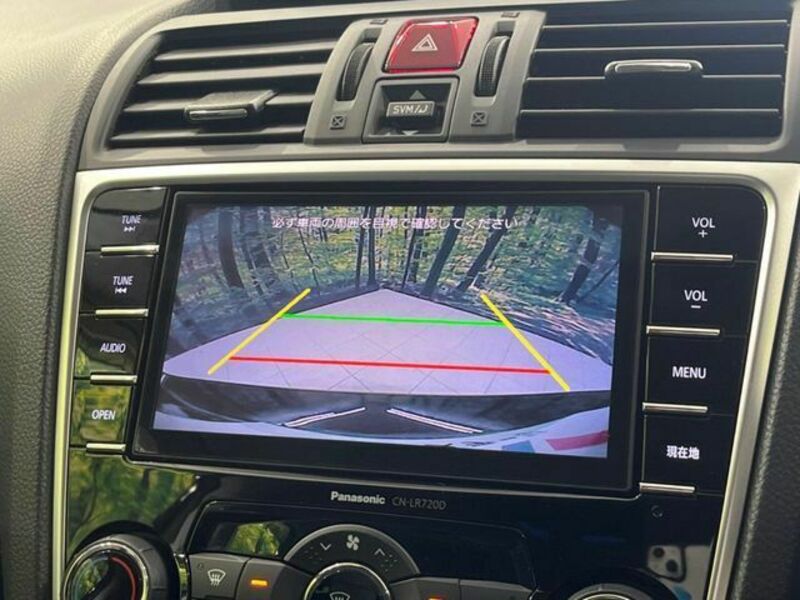 LEVORG-4