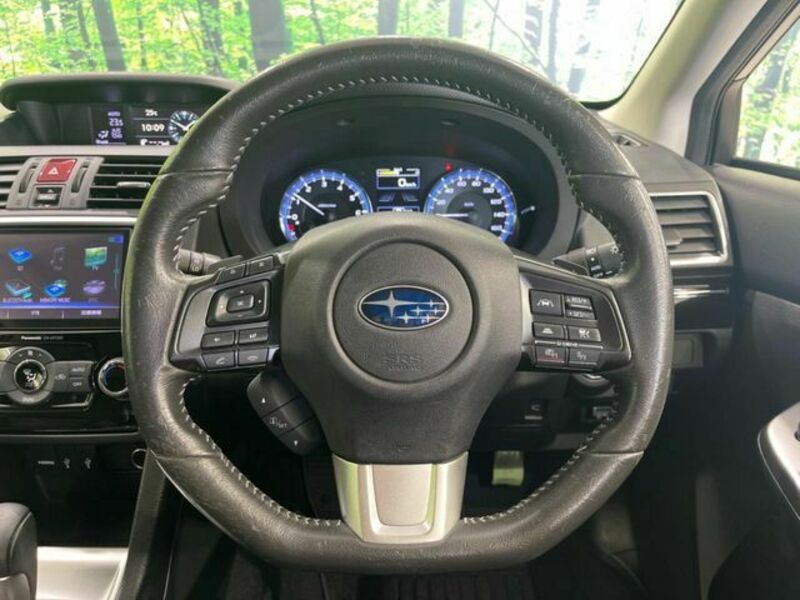 LEVORG-10