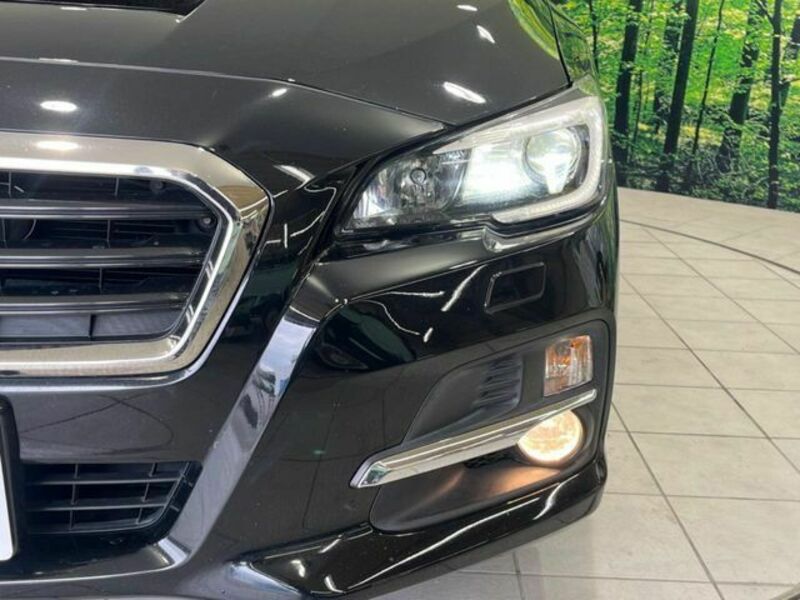 LEVORG-11