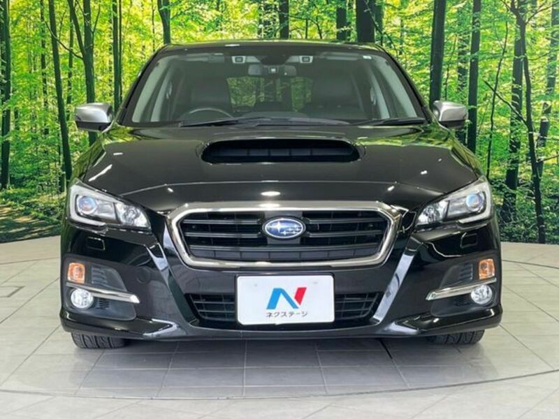 LEVORG-13